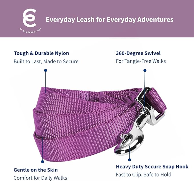 Blueberry Pet Essentials Violet Dog Leash for Medium - 5' * 3/4" Dogs | Heavy Duty Nylon Lead | Lightweight Puppy & Cat Leash for Walking & Training