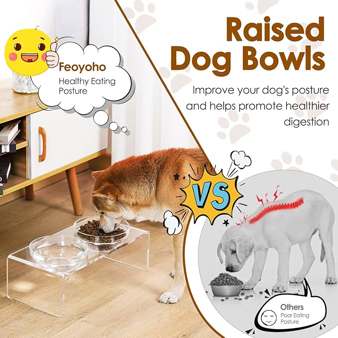Acrylic Elevated Dog Cat Bowls Pet Feeder Double Bowl Raised Stand Comes with 2 Removable Glass Bowls and 2 Stainless Steel Bowls.Perfect for Medium Dogs, 5.5" Tall