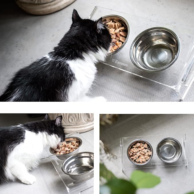 Tilted Raised Elevated Food and Water Bowls Stand for Cat or Small Dogs - Puppy's Clear Acrylic Stainless Steel Dishes Holder for Boy or Girl Pet,Modern,Durable and Easy to Clean by WBhonghui (Clear)