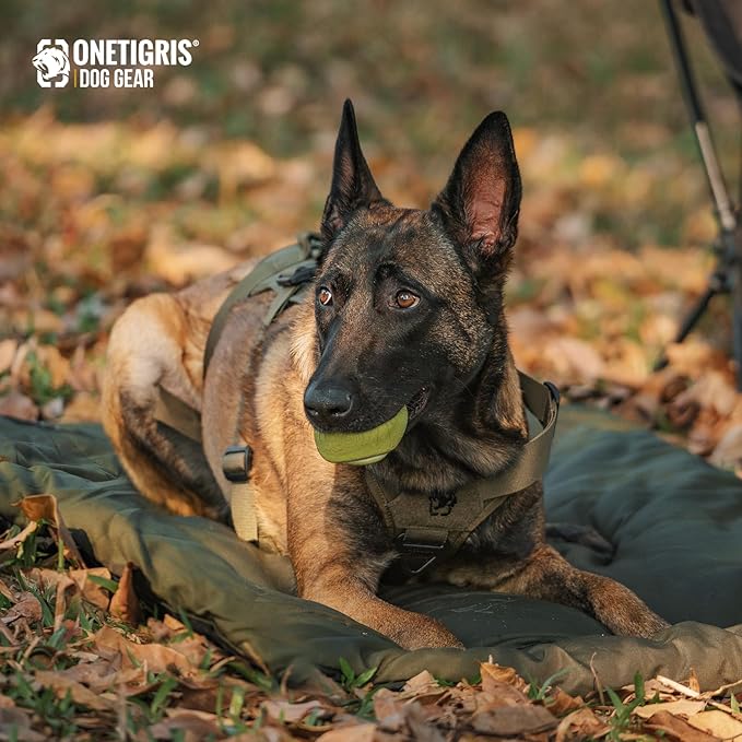 ONETIGRIS Large Dog Bed Washable Matteress Anti Slip Cushion for Pets Sleeping, 3.6ft by 2.2ft Water-Resistant Pet Bed for Indoor Outdoor(Green,L)