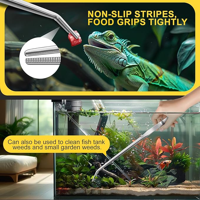 2pcs Reptile Feeding Tongs, Feeding Spoon, Stainless Steel Aquarium Feeding Tools, Curved Long Tweezers 10.6 in, Long Spoon 10 in (Coffee Spoon) for Feeding Lizards, Bearded Dragons and More.