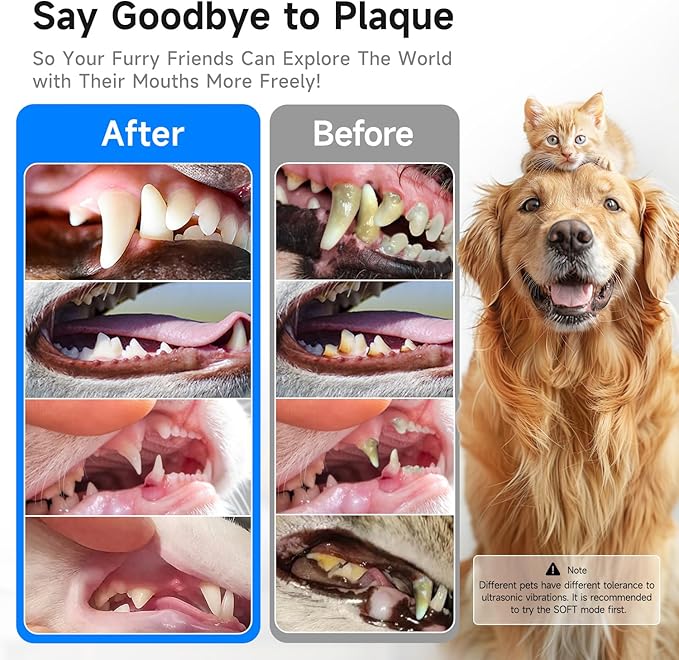 Electric Dog Plaque & Tartar Remover - Pet Teeth Cleaning Kit with LED Light, 5 Adjustable Modes, Safe and Low Noise – Easy Home Dental Care for Dogs and Cats