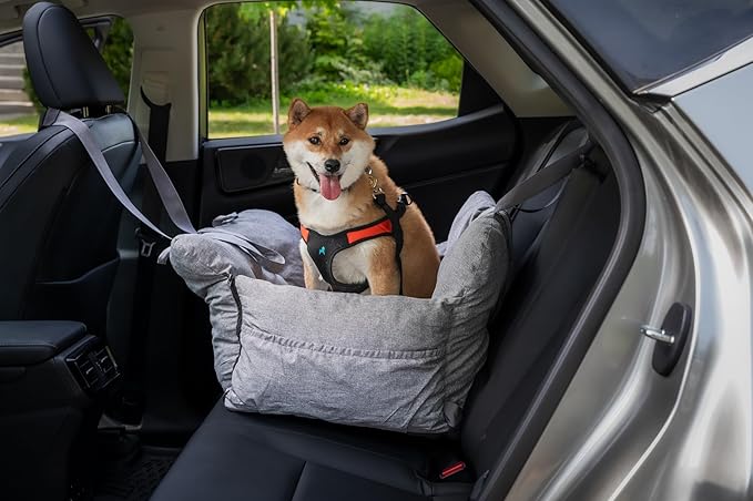 JACKO & CO - Premium Dog Car Seat v2 Booster Seat for Small & Medium Pets Under 40lbs - Machine Washable w Removable Covers, Water Resistant w Clip-On Leash for Back Seat Use (Grey/Medium (25-40lbs)
