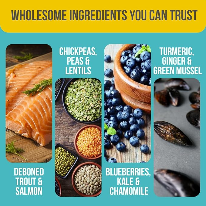 T28 Grain-Free Dog Food for Small & Toy Breeds – High Protein Trout & Salmon Meal Kibble | Chicken-Free, Limited Ingredient, Fish Dry Dog Food for Small Dogs & Puppies (4.4 Pounds)