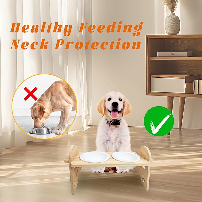 Elevated Adjustable Raised Dog Bowls with Stand for Small Size Dogs and Cats, Sturdy Bamboo Dog Feeder with 2 Stainless Steel Bowls (Stainless Steel, for Cats & Dogs)