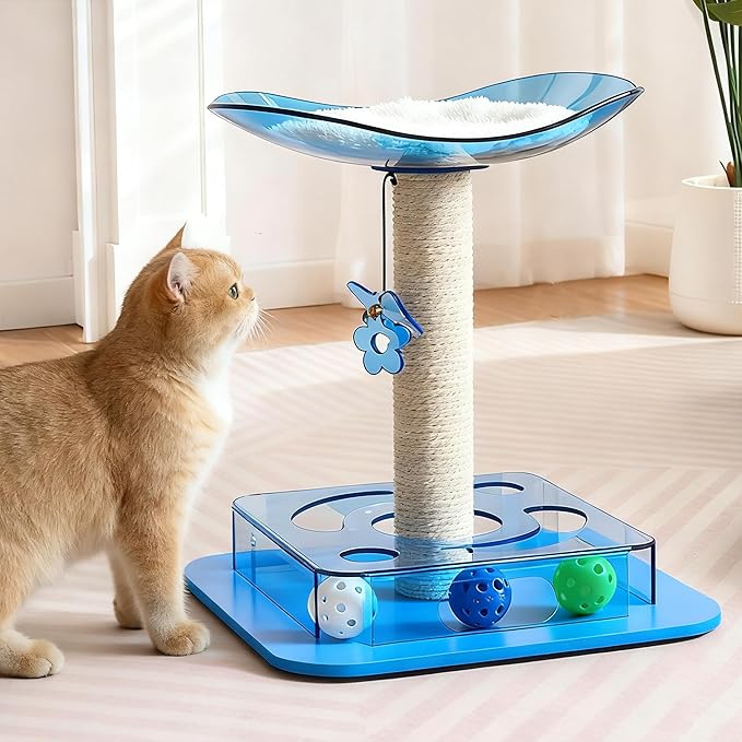 Modern 3-in-1 Interactive Cat Toy with Puzzle Box, Cat Bed/Perch & Scratching Posts, Colorful Jingle Balls, Dangling Accent, Puzzle Toys for Indoor Cats, Acrylic, Blue