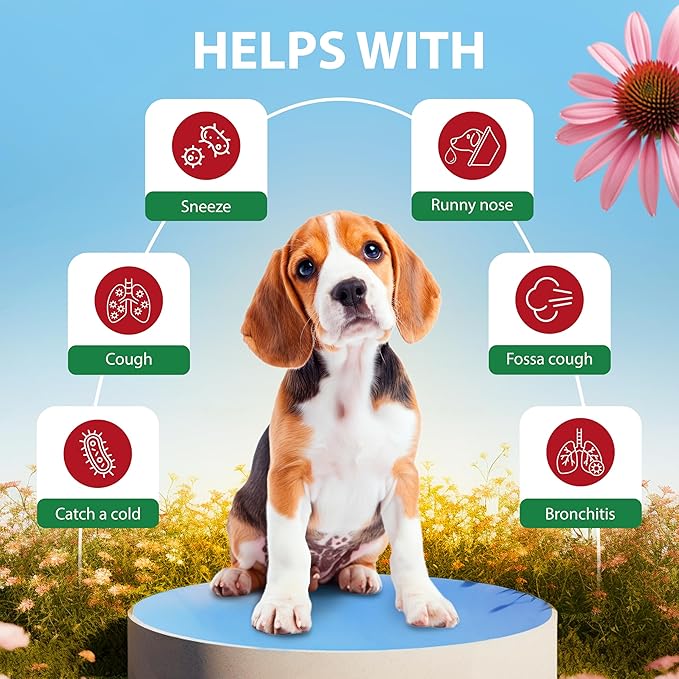 Kennel Cough Drops for Dogs & Cats Cough Relief Dry and Wet Pet Cough Allergy Relief - for Dogs of All Breeds & Sizes