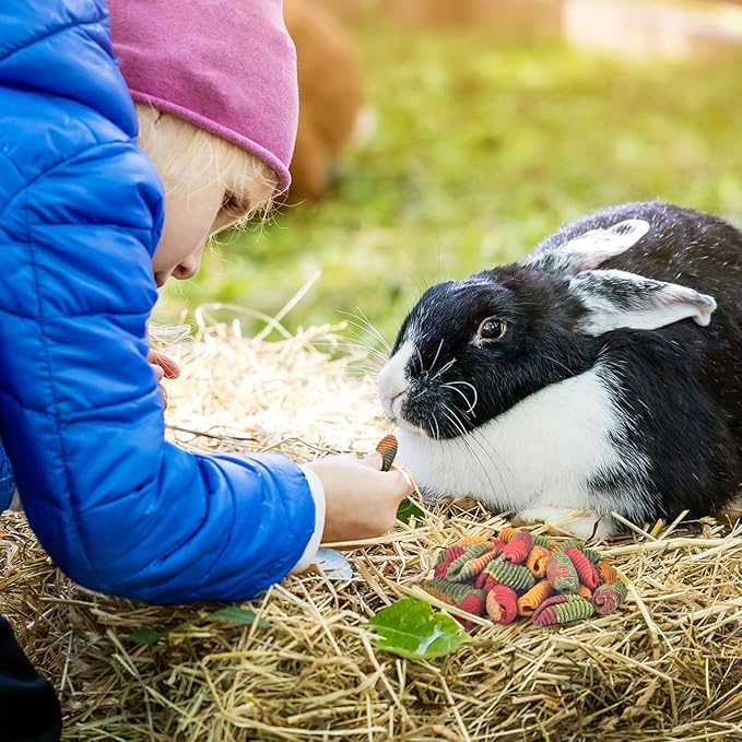 ERKOON Chinchilla Treats, Timothy Grass Chew Toys for Teeth for Rabbit Guinea Pig Gerbil Rat Dwarf Hamster (Treats)
