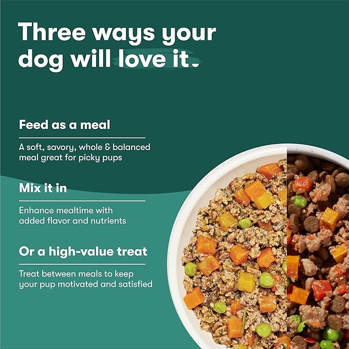 Jinx Wet Dog Food Topper, Mix with Dry Dog Food, Made with Real Salmon & Chicken, Bone Broth, No Fillers, for All Lifestages, 9oz, 1 Pack