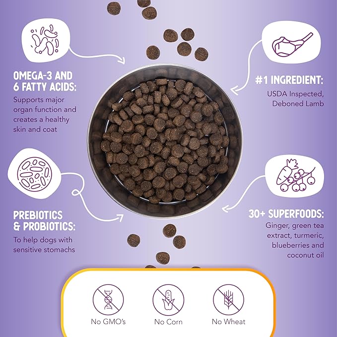 Health Extension Lamb & Brown Rice Dry Dog Food, Protein Packed Formula with Probiotics & Superfoods for Digestion & Coat Health (4lb)