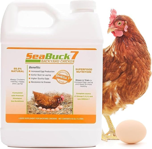 Chicken & Bird Supplement with Sea Buckthorn to Improve Egg Quality & Increase Egg Production (1-Month Supply for 20 Chickens)