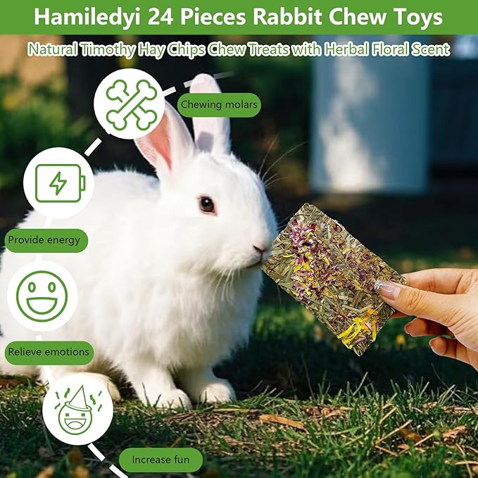 Hamiledyi Rabbit Chew Toys 24 Pieces Guinea Pig Chew Toys for Teeth Natural Grinding Teeth for Chinchilla Bunny Hamster Gerbil Rat Small Animals