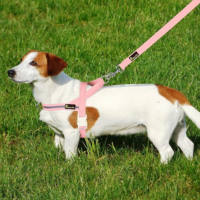 Plutus Pet Cotton Dog Harness and Leash Set, Reflective and Soft Padded, Quick Fit Vest Harness, for Small, Medium and Large Dogs, Pink, L