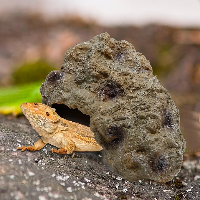Anxingo Reptile Rock Reptile Cave Hideout for Snakes/Geckos/Lizards/Turtles and Other Amphibians, with Dinosaur Skull (Small)