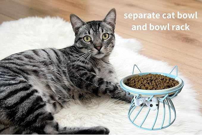 Raised Cat Food Bowl - Elevated Feeder Stand with Shallow Ceramic Dish, Whisker-Friendly No-Spill Water Bowl
