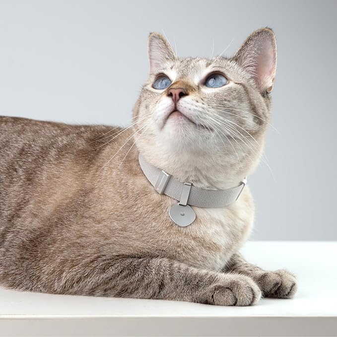 Safety Cat Collar Pro and Tag Set - U.S. IDA Gold Award, Elastic Release Cat Collar Charm Tag, Non Breakaway Cat Collar Adjustable with Charm for Kitten Small Large Cats (Burgundy, M)