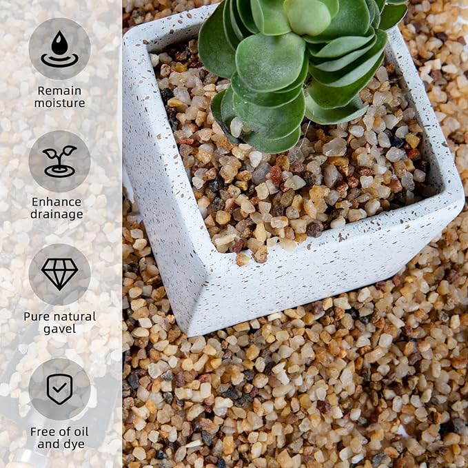 5lb Mixed Color Small Silica Gravel Pebbles, 1/5 inch Decorative Stones for Succulents, Pebbles for Vases,Plants Rocks, Aquarium Sand, Top Dressing, Outdoor Decorative Rocks