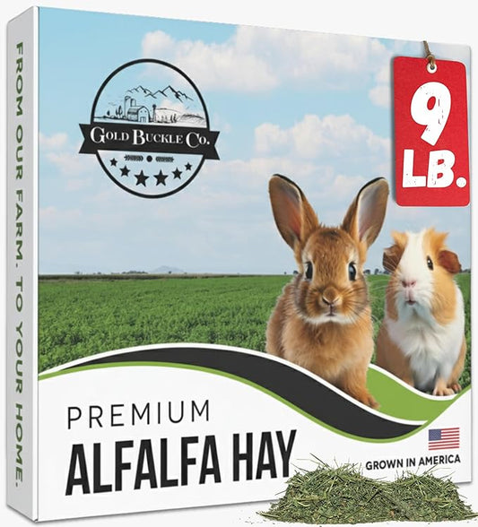 9lb Farm Fresh, USA Grown, Organic Alfalfa Hay for Rabbits, Guinea Pigs, Chinchillas, Goats, Hamsters & Ferrets - Rabbit Food Rich in Protein & Fiber - Just Dried, Hand-Selected