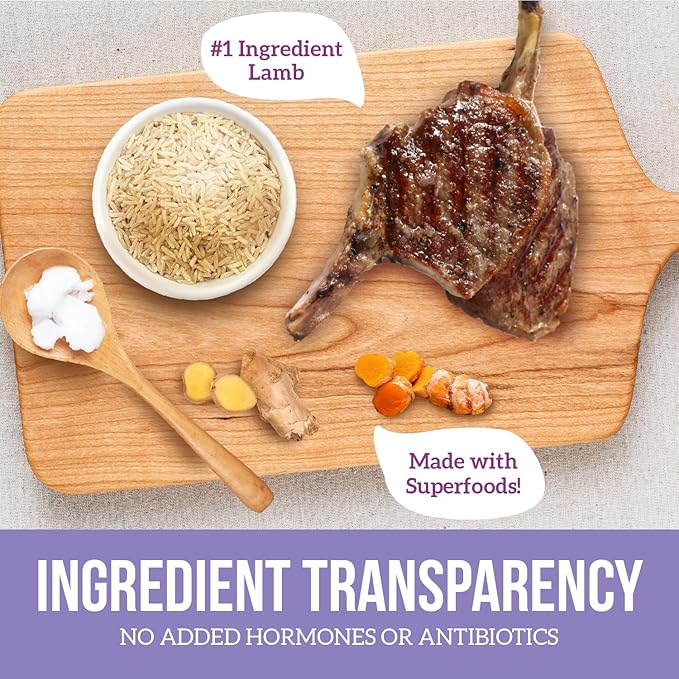 Health Extension Lamb & Brown Rice Dry Dog Food, Protein Packed Formula with Probiotics & Superfoods for Digestion & Coat Health (15lb)