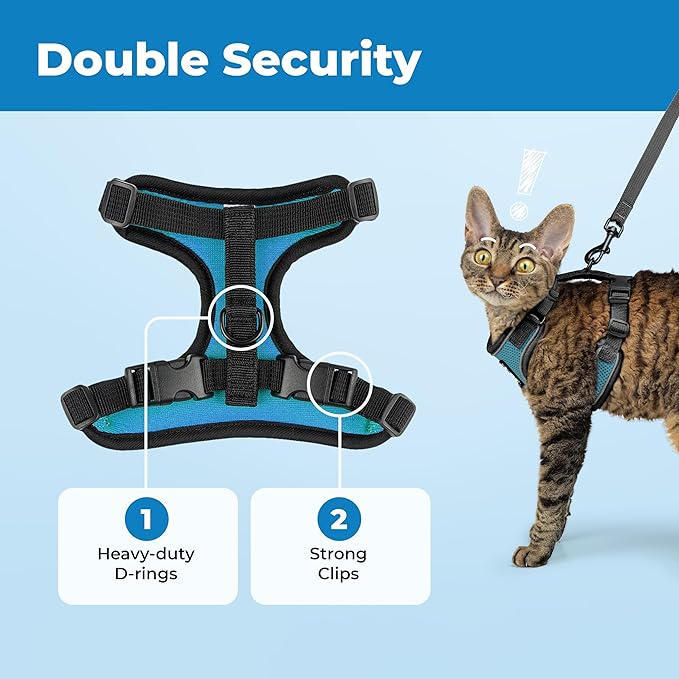 Voyager Escape Proof Cat Harness and Leash Set with Reflective Stitching, Neoprene Handle 5ft - Supports Small, Medium and Large Cats, Kittens for Walking by Best Pet Supplies - BT-Turquoise, S