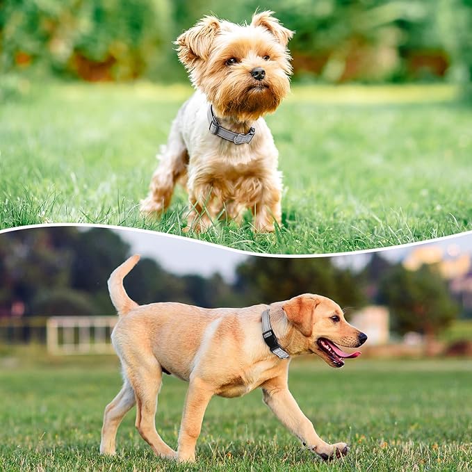 Reflective Dog Collar Padded with Soft Neoprene Breathable Quick Release Basic Dog Collars for Medium Large Dogs Boy Girl Silver