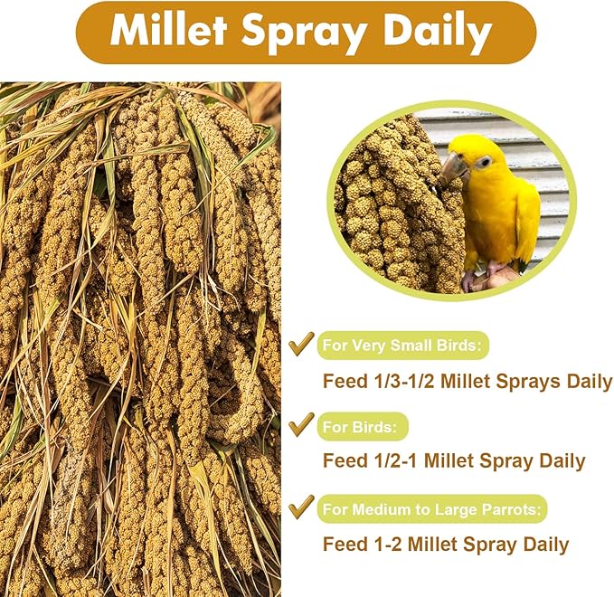 Jmxu's Spray Millet Treat for Birds Parakeets, Natural Sun-Dried Birds Millet for Cockatiel, Budgie, Finches, Parrots, Hamster (2 Pounds)