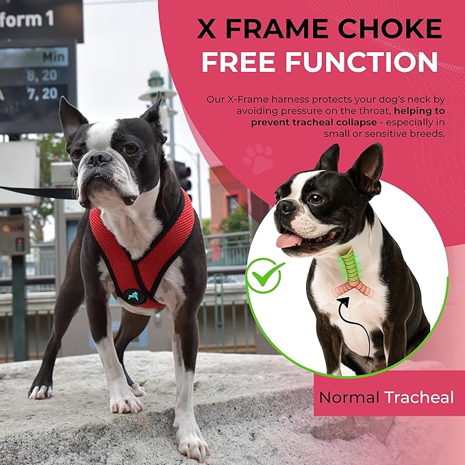 Gooby Comfort X Head in Harness - Red, Large - No Pull Small Dog Harness, Patented Choke-Free X Frame - Perfect on The Go Dog Harness for Medium Dogs No Pull or Small Dogs for Indoor and Outdoor Use