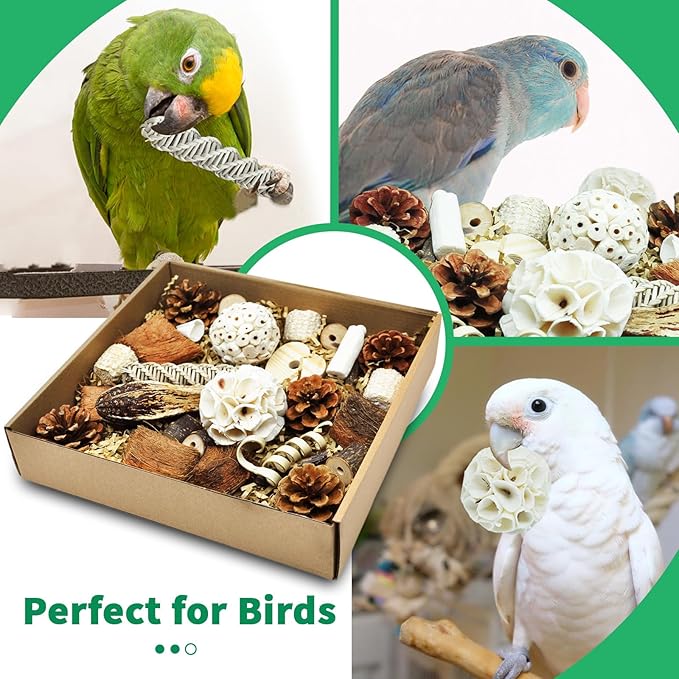 Natural Bird Foraging & Parrot Shredding Toys Box - Interactive Chewing and Foraging Toys for Parakeets, Cockatiels, Conures, Love Birds, and Small to Medium Birds