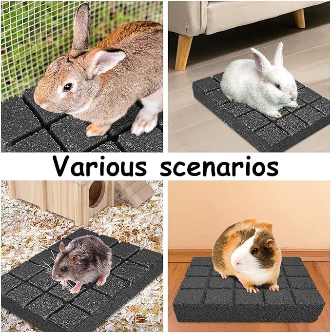 Hamiledyi 10PCS Rabbit Scratching Pads Bunny Lava Grinding Claw Pads Small Animal Foot Pads Hamster Scratch Board Chew Toys for Gerbil Chinchilla Hedgehog Guinea Pig Cage Accessories