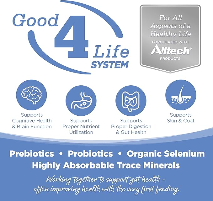 Nutri-Source Pure Vita Grain-Free Turkey And Sweet Potato Dry Dog Food, 5 Pound Bag