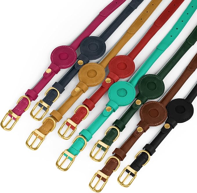 OOPSDOGGY Rolled Leather Dog Collar with Airtag Holder - Reflective Round Airtag Dog Collar - Soft Tracking Pet Collar for Small Dogs Puppy Cats Kitten (Green, M, 12"-15")