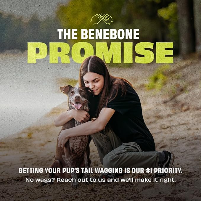 Benebone Dog Ball, Natural Rubber