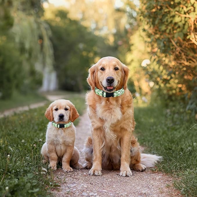 Green Shamrock St Patrick's Day Pet Collars Dog Collars Soft Elastic Neck Strap for Female Male Puppy Cats