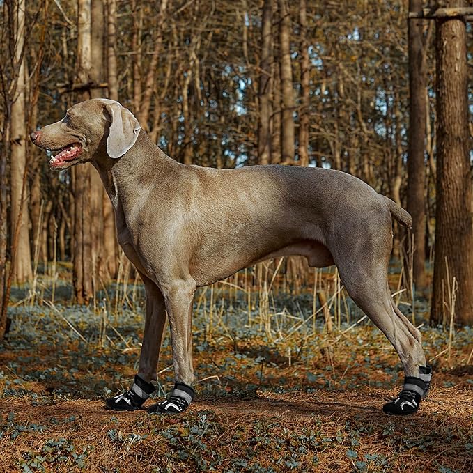 Dog Shoes for Large Dogs, Medium Dog Boots Paw Protectors for Winter Snowy Day, Summer Hot Pavement, Waterproof in Rainy Weather, Outdoor Walking, Indoor Hardfloors Anti Slip Sole (Black5#)