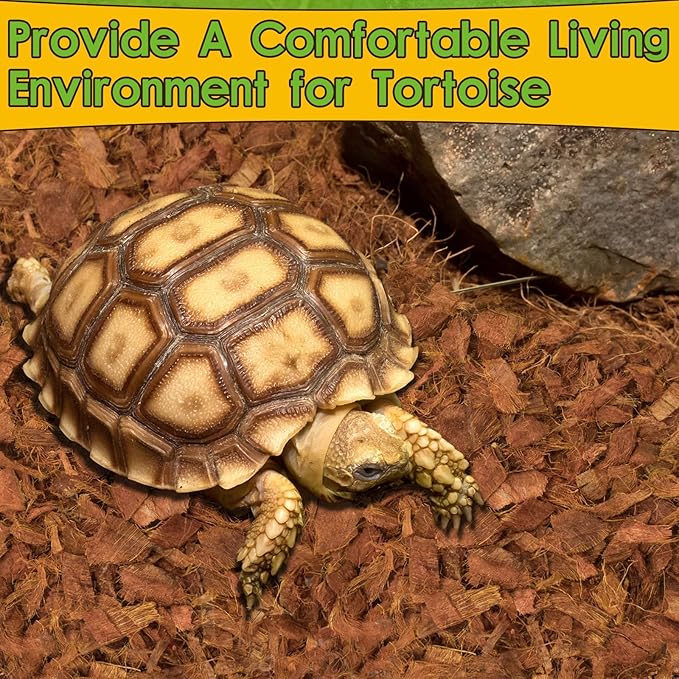 Halatool 6Pack Compressed Coconut Chips Brick Natural Coconut Husk for Reptiles Bedding Coco Coir Chips Terrarium Substrate for Ball Python Frog Snake Gecko Hermit Crab Tortoise