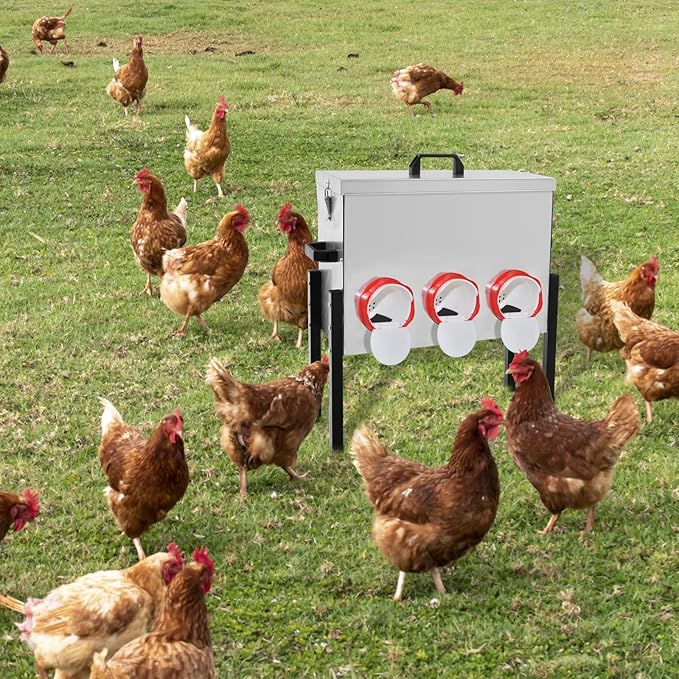 XKV Metal Automatic Chicken Feeder 30LBS with 6 Ports,Locking Lid and Legs,No Feed Waste,All Seasons Support,Weather-Resistantand Animal-Proof,Suitable for Chicken,Geese,Ducks,Turkeys,Quails