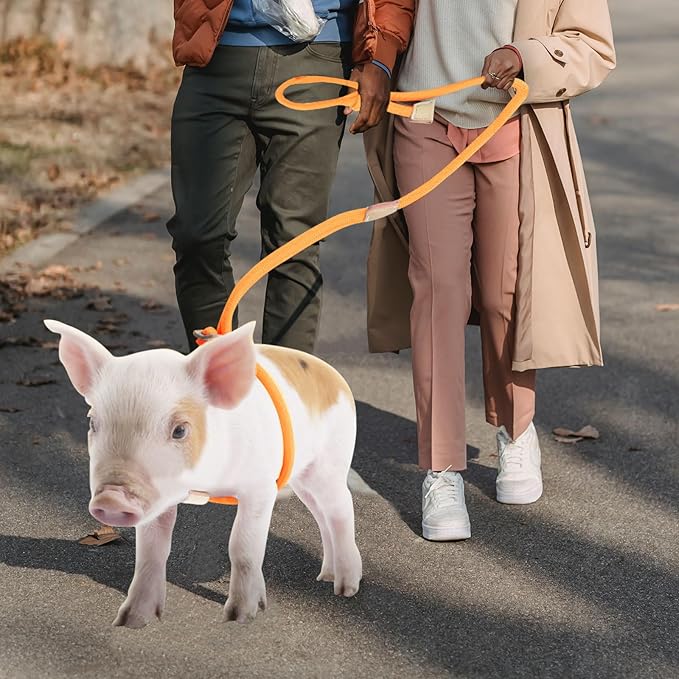 Mini Pig Harness & Leash, Adjustable 8 Feet Long Rope for Small to Medium Pet Pigs