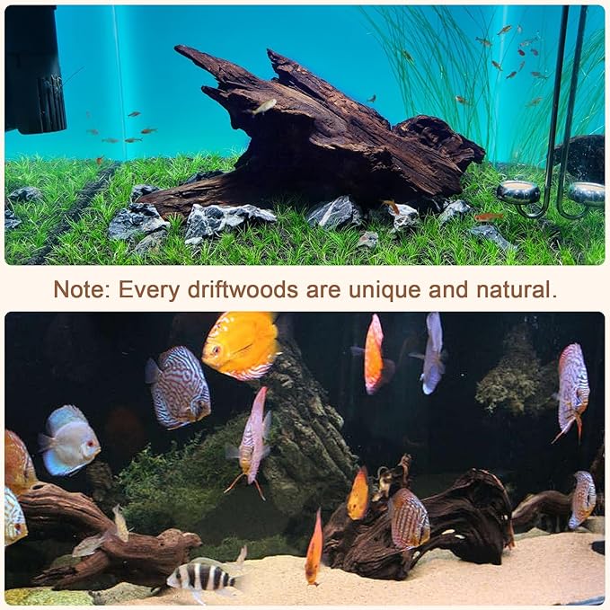 LYPHARD AQUARIUMS Natural Driftwood for Aquarium, 9-14" Large Assorted Branch Pieces Decorations for Reptile Hide, Fish Tank