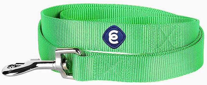 Blueberry Pet Essentials Neon Green Dog Leash for Medium - 5' * 3/4" Dogs | Heavy Duty Nylon Lead | Lightweight Puppy & Cat Leash for Walking & Training