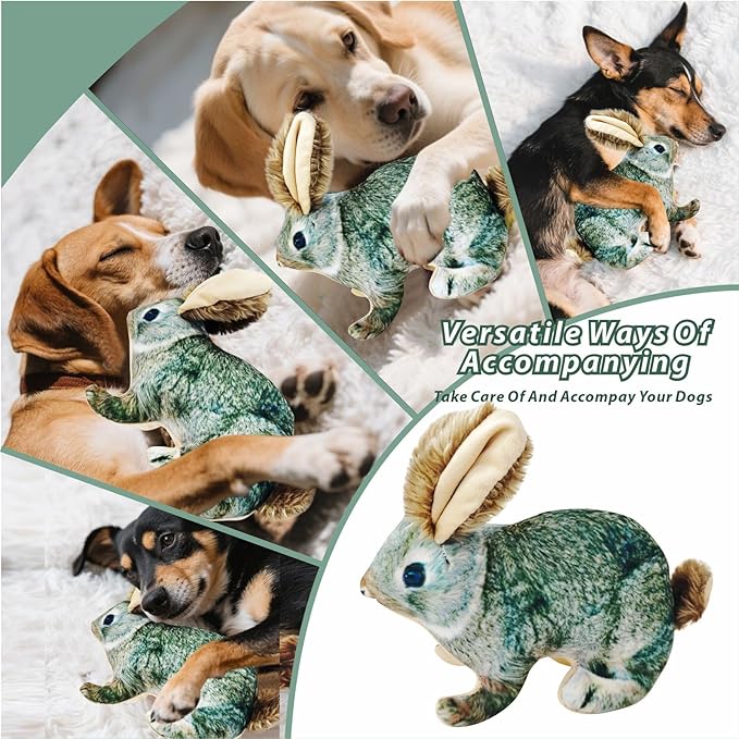 Dog Toy Rabbit Squeak,Attractive Squeaking Sound is Suitable for Dogs to Interact and Play on Outdoor Grass, Suitable for Small and Medium-Sized Dogs, Cute Plush Rabbits (Green)