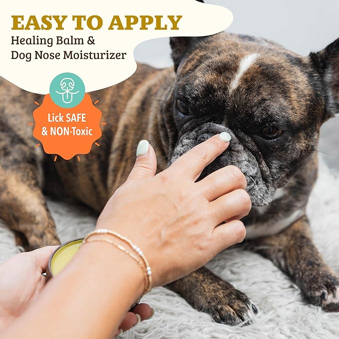 Natural Dog Company Snout Soother, Dog Nose Balm, Wax & Cream for Dry, Cracked Noses, Heals & Moisturizes with Shea Butter & Coconut Oil, Lick-Safe Nose Butter, Made in USA, 2 oz. Tin