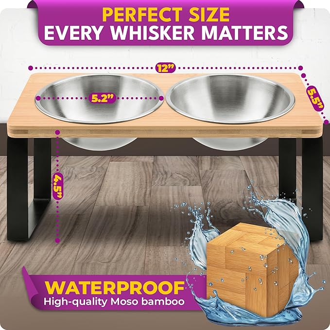 Raised cat Bowls for Indoor Cats by WinTruffles, Elevated cat Bowls, Tilted and Elevated Anti Vomiting Cat Dishes for Food and Water, Set of 2 Stainless Steel Bowl