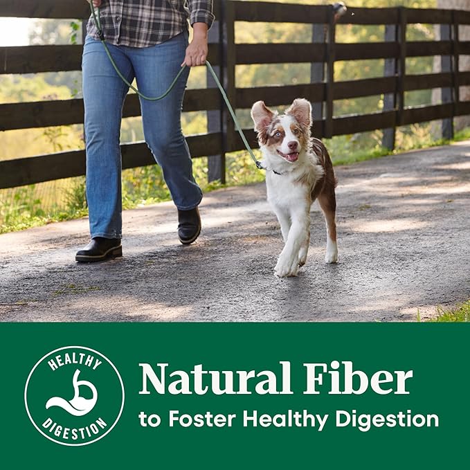 Nutro Natural Choice Lamb & Brown Rice Large Breed Puppy Food Dry Recipe, 30 lb. Bag