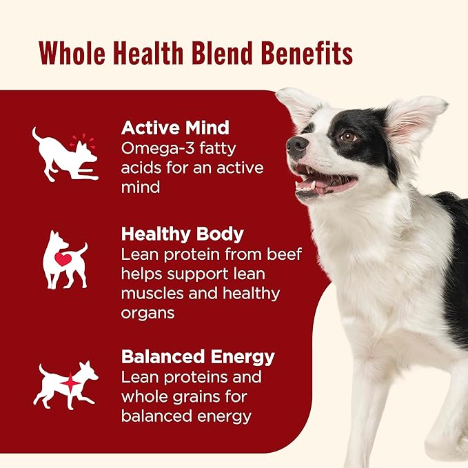 Nutrish Real Beef & Veggies Recipe Whole Health Blend Chunks in Gravy Wet Dog Food, 13 oz. Can, 12 Count, Packaging May Vary (Rachael Ray)