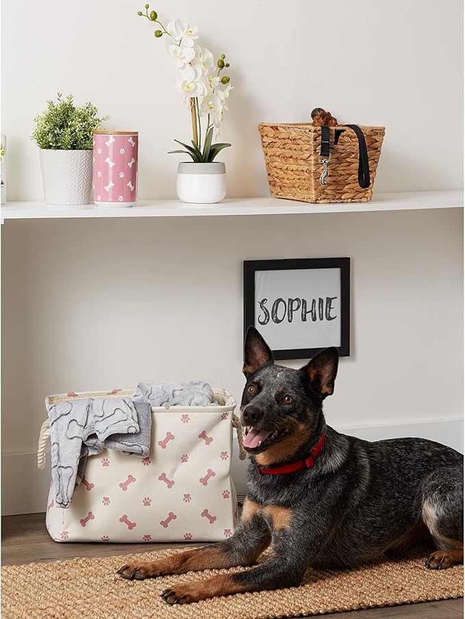 Bone Dry Pet Storage Collection Paw and Bone Print, Small Rectangle, 14x8x9", Rose