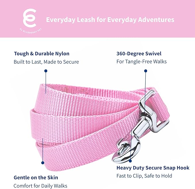 Blueberry Pet Essentials Fuchsia Pink Dog Leash for Large - 4' * 1" Dogs | Heavy Duty Nylon Lead | Lightweight Puppy & Cat Leash for Walking & Training