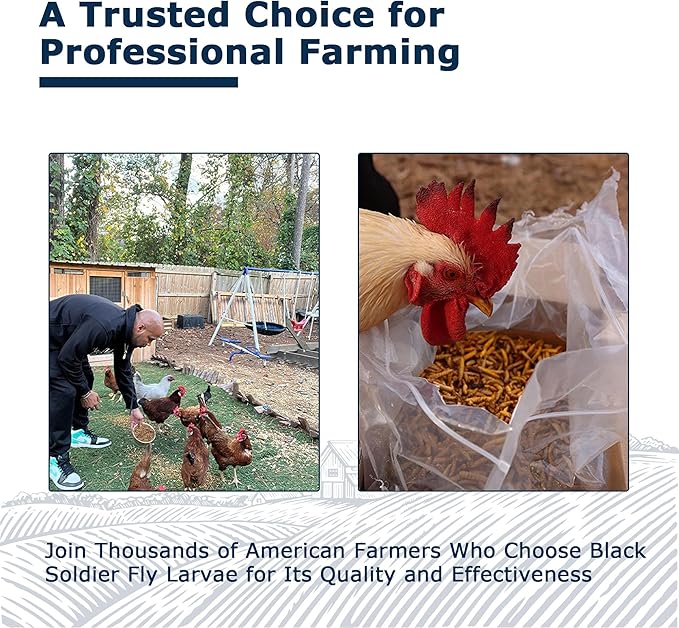 Nutrient-Rich Chicken Feed - 1LB Dried Black Soldier Fly Larvae, 100% Natural, 85X More Calcium Than Mealworms, Ideal for Molting & Laying Hens, Ducks, and Wild Birds, Reptiles and Hedgehogs