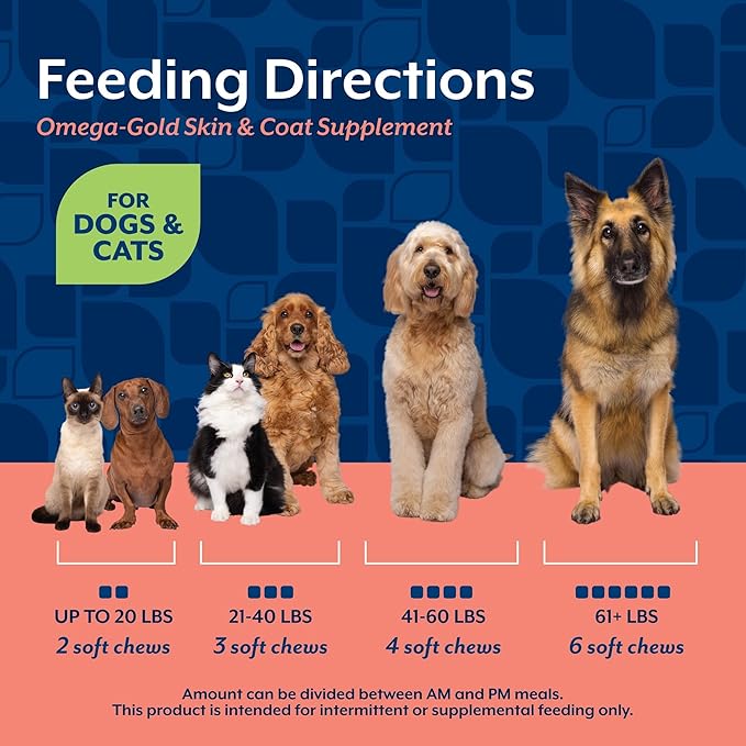 NaturVet – Omega-Gold Plus Salmon Oil | Supports Healthy Skin & Glossy Coat | Enhanced with DHA, EPA, Omega-3 & Omega-6 | for Dogs & Cats | 90 Soft Chews