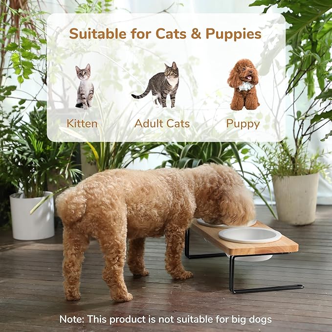 FUKUMARU Elevated Cat Ceramic Bowls, Small Dog Raised Food Feeding Dishes, Solid Wood Water Stand Feeder Set for Cats and Puppy