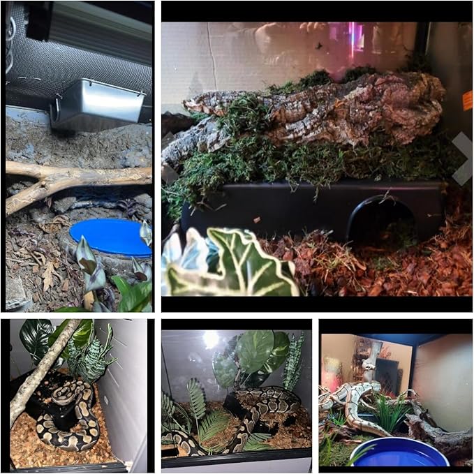 Amypet Large Snake Hides for Ball Pythons and Different Reptiles Durable Material Easy to Clean 16.5 x10.6 x 4.3inch (XXL)